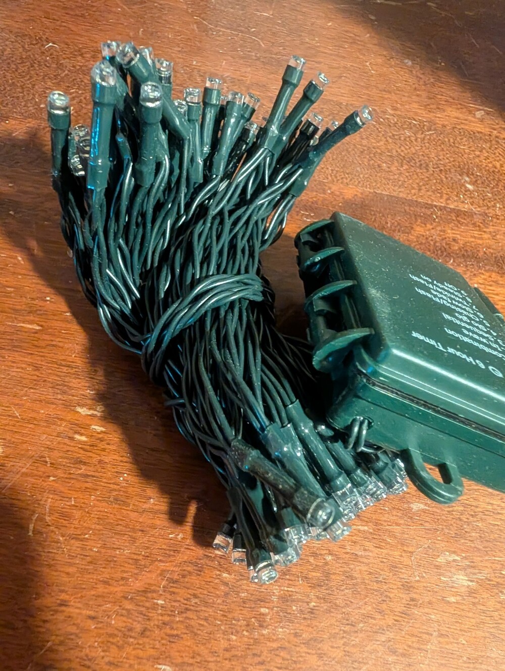 Battery Operated 50 LED Clear Bulb String Lights with Green Wire and Timer